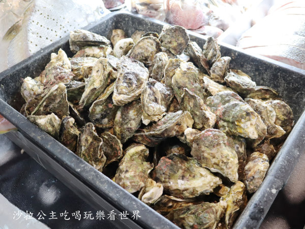 IMG_7229.JPG IMG_7229.JPG