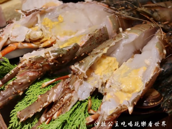 IMG_2911.JPG IMG_2911.JPG