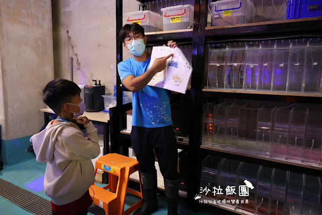 全台最頂級夜宿水族館!桃園和逸Blu Night宿海奇遇》Xpark住一晚 106 全台最頂級夜宿水族館!桃園和逸Blu Night宿海奇遇》Xpark住一晚