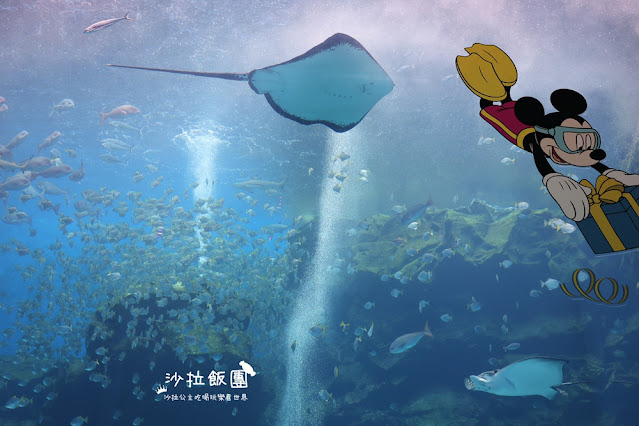 全台最頂級夜宿水族館!桃園和逸Blu Night宿海奇遇》Xpark住一晚 101 全台最頂級夜宿水族館!桃園和逸Blu Night宿海奇遇》Xpark住一晚