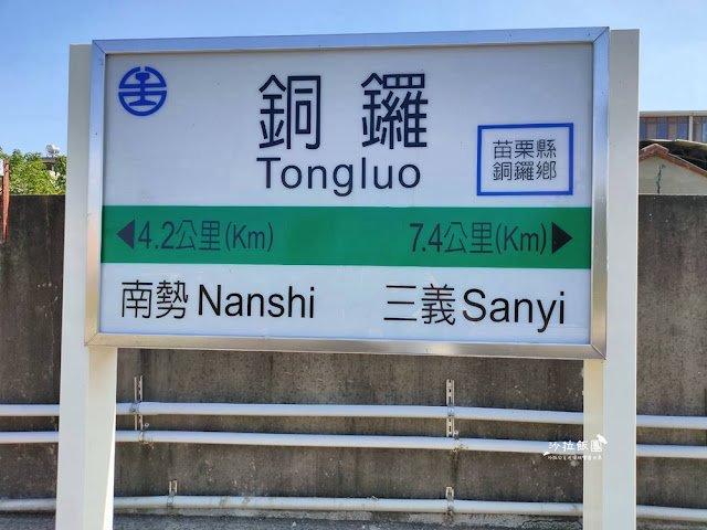 銅鑼杭菊搭火車也可以賞花!!交通指引 2 銅鑼杭菊搭火車也可以賞花!!交通指引