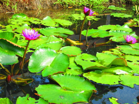 IMG_2651.jpg IMG_2651.jpg