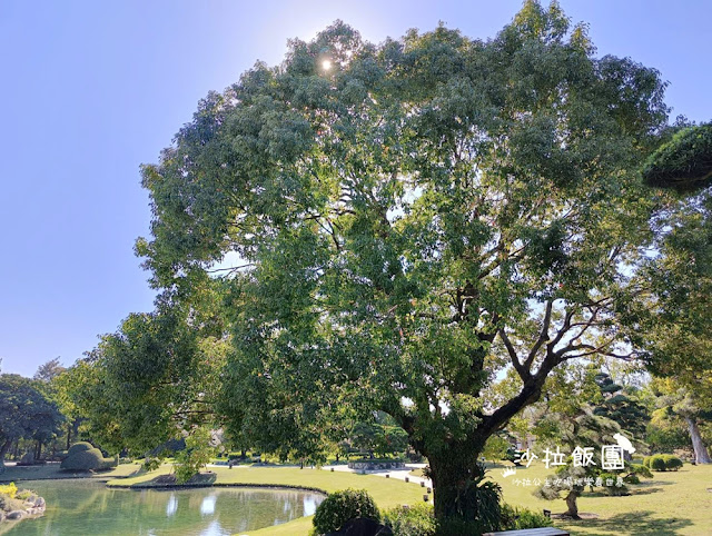 彰化景點『成本文化園區』日式庭園與松柏園 7 彰化景點『成本文化園區』日式庭園與松柏園
