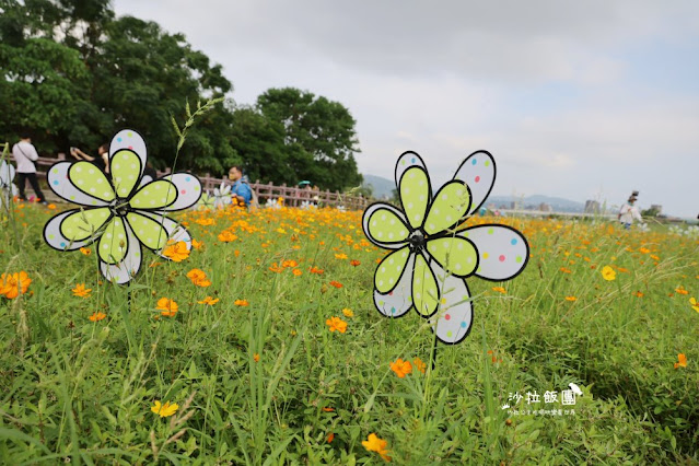 免費入場【2021愛戀關渡花現幸福】5公頃大片花海,北投景點 17 免費入場【2021愛戀關渡花現幸福】5公頃大片花海,北投景點