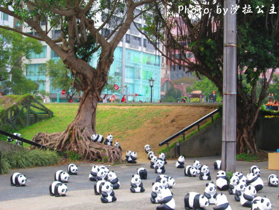 IMG_7475.jpg IMG_7475.jpg