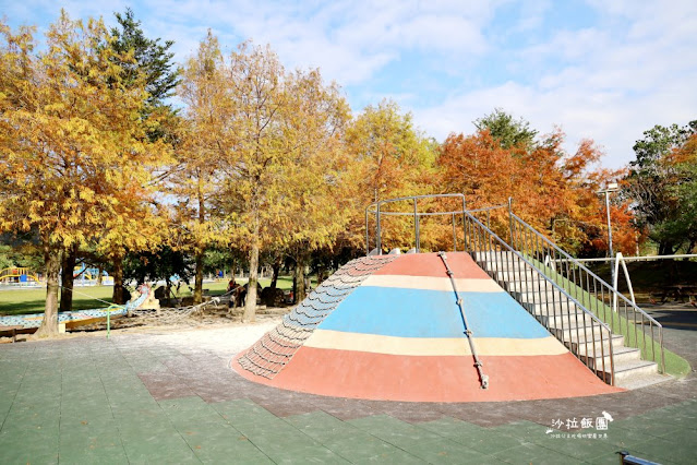 頭城景點頭城最新特色公園『頭城運動公園』宜蘭最美的共融公園、落羽松 4 頭城景點頭城最新特色公園『頭城運動公園』宜蘭最美的共融公園、落羽松